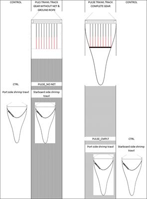 A Transdisciplinary Approach Towards Studying Direct Mortality Among Demersal Fish and Benthic Invertebrates in the Wake of Pulse Trawling